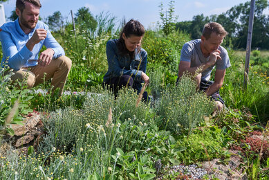 Gäste beim Erkunden des Permakultur-Garten | © SONNENTOR/@nudlholz.at