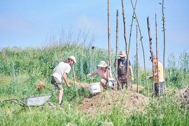 Gartenarbeit im Permakultur-Garten des Bio-Bauernhofs | © SONNENTOR/@nudlholz.at