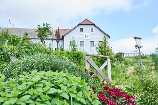 Außenansicht des Bio-Bauernhof Frei-Hof mit blühenden Permakulturgarten | © SONNENTOR Schrägstrich @nudlholz.at