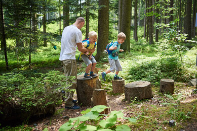 Kinder hüpfen über Baumstämme | © SONNENTOR/@nudlholz.at