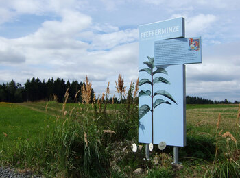 Info-Schild Pfefferminze am Kräuterwanderweg | © SONNENTOR