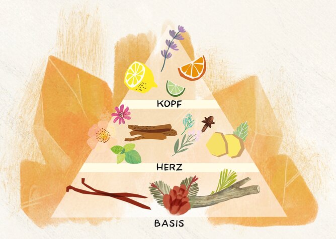 Duftpyramide ätherische Öle | © SONNENTOR