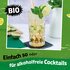 01274_Mojito Sirup_K2.jpg
