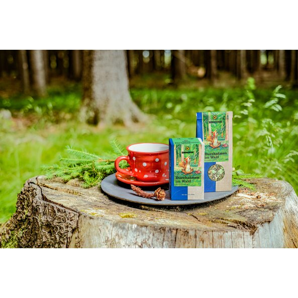 Durchatmen im Wald-3_DK-und-lose_neu2 (1).jpg Durchatmen im Wald-3_DK-und-lose_neu2 (1).jpg
