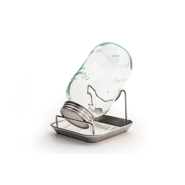 Sprossenglas Set Wildglas 1000 ml Seed Glass set Wildglas 1000 ml