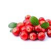 Cranberry bio