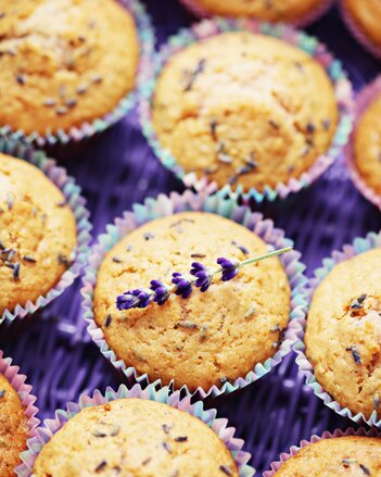 Auf dem Foto sind Muffins zu sehen. Darauf ist zarter Lavendel zu sehen. Auf einem Muffin liegt ein ganzer Lavendelzweig. | © SONNENTOR