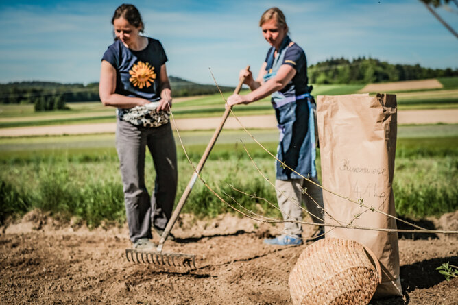 Foto von zwei Frauen, die den Boden für die Blumenwiese vorbereiten. | © SONNENTOR