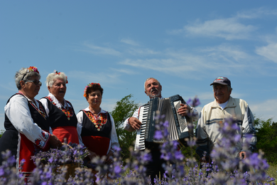 Musik im Lavendelfeld | © SONNENTOR