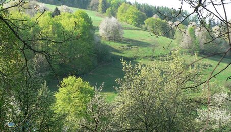 Schöne Landschaft | © SONNENTOR