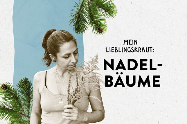 Das Bild zeigt Valerie Jarolim, die an einem Kräuter-Strauch riecht, zwischen Fichtenzweigen und den Schriftzug "Mein Lieblingskraut: Nadelbäume" | © SONNENTOR