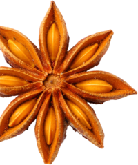 Sternanis | © SONNENTOR Sternanis Sonnentor | © SONNENTOR