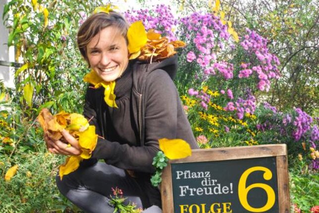 Aufdem Foto sieht man eine Frau mit jeder Menge herbstlicher Blätter. | © SONNENTOR