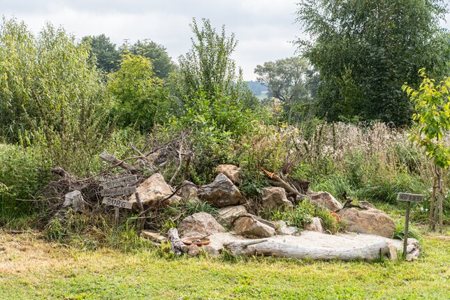 Reptilienburg | © SONNENTOR Reptilienburg | © SONNENTOR