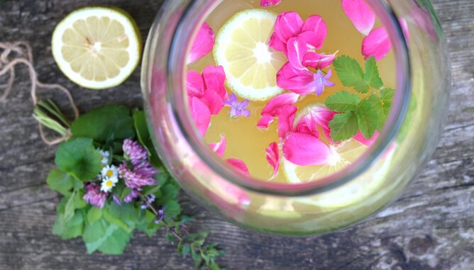 Auf dem Foto ist ein Glas mit selbstgemachten Wiesendudler zu sehen. Darin sieht man Zitronen, Blüten und Kräutern. | © SONNENTOR