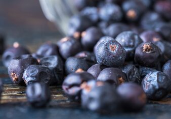 Auf dem Foto sind Wacholderbeeren zu sehen. | © SONNENTOR