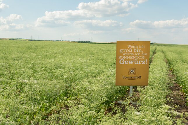 Auf dem Foto ist ein Feld mit einem Sonnentor Schild zu sehen. | © SONNENTOR