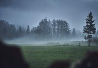 Auf dem Foto sind Wiesen und Bäume in der Dämmerung zu sehen. Auch Nebel ist zu sehen. | © Daniel Hobelsberger